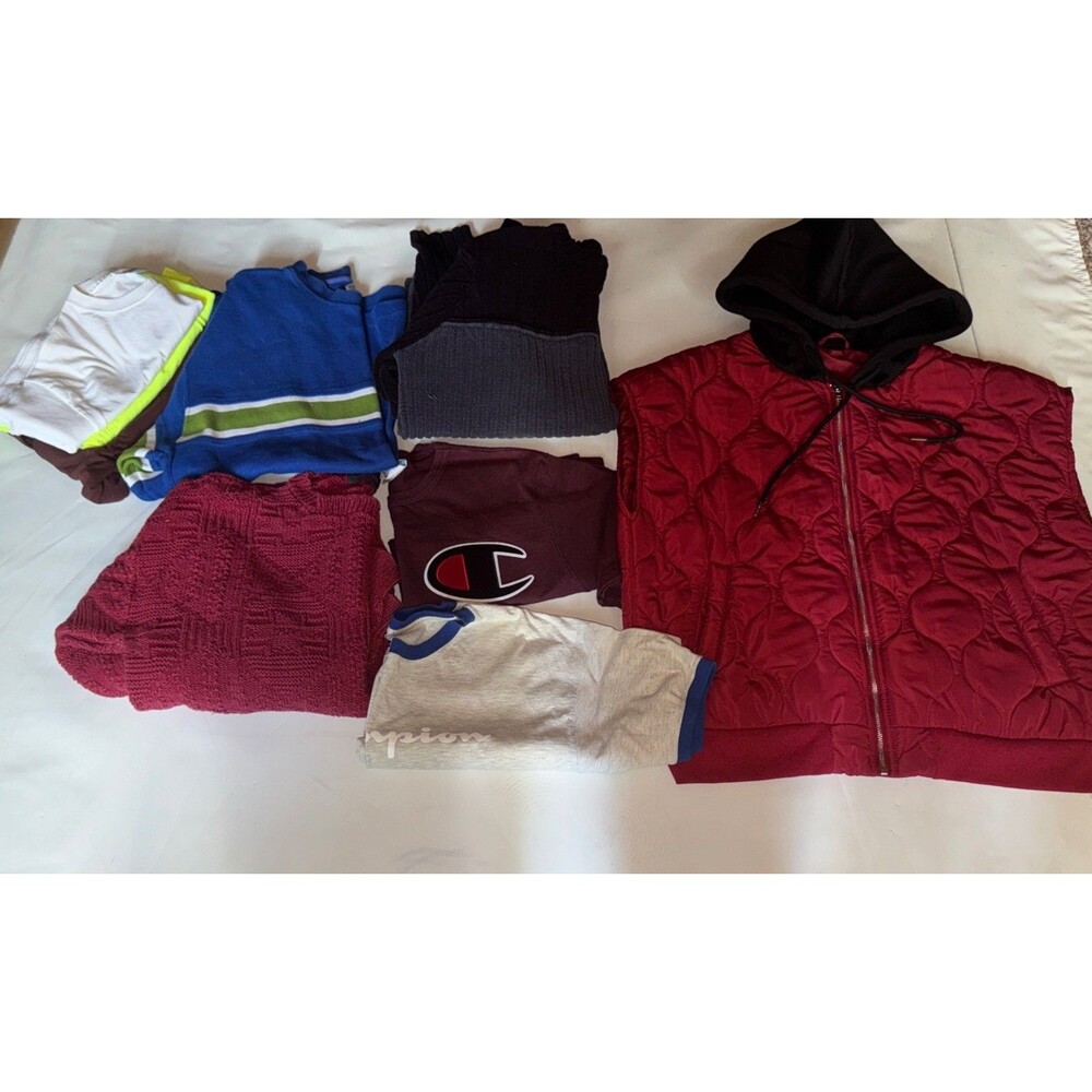 VTG Mens Large Knit Sweaters/tops Mixed Lot John Weitz Oxide Champion USA 9 Pc